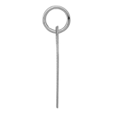 Silver Charm