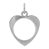 Silver Charm